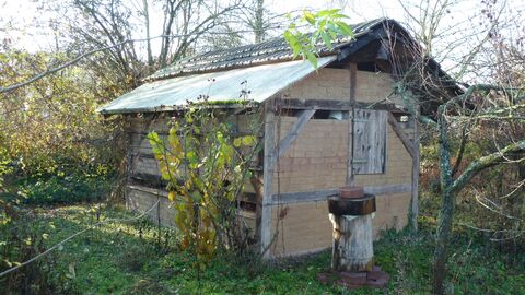 Schulgarten Bienenhaus