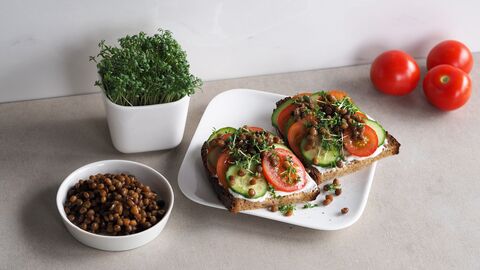 Buntes Smörrebröd mit marinierten Linsen mit einigen Zutaten im Hintergrund