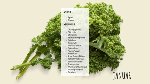 Ein Bild von Grühnkohl mit weißem Balken drüber, auf dem die Lebensmittel der Saison (siehe Akkordeon) stehen