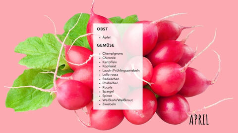 Ein Bild von Radieschen mit weißem Balken drüber, auf dem die Lebensmittel der Saison (siehe Akkordeon) stehen