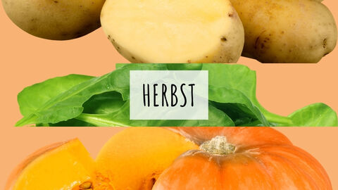 Drei horizontale Bilder von Kartoffeln, Feldsalat und Kürbis. Mittig steht "Herbst"