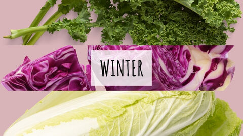 Drei horizontale Bilder von Grünkohl, Rotkohl und Chinakohl. Mittig steht "Winter"